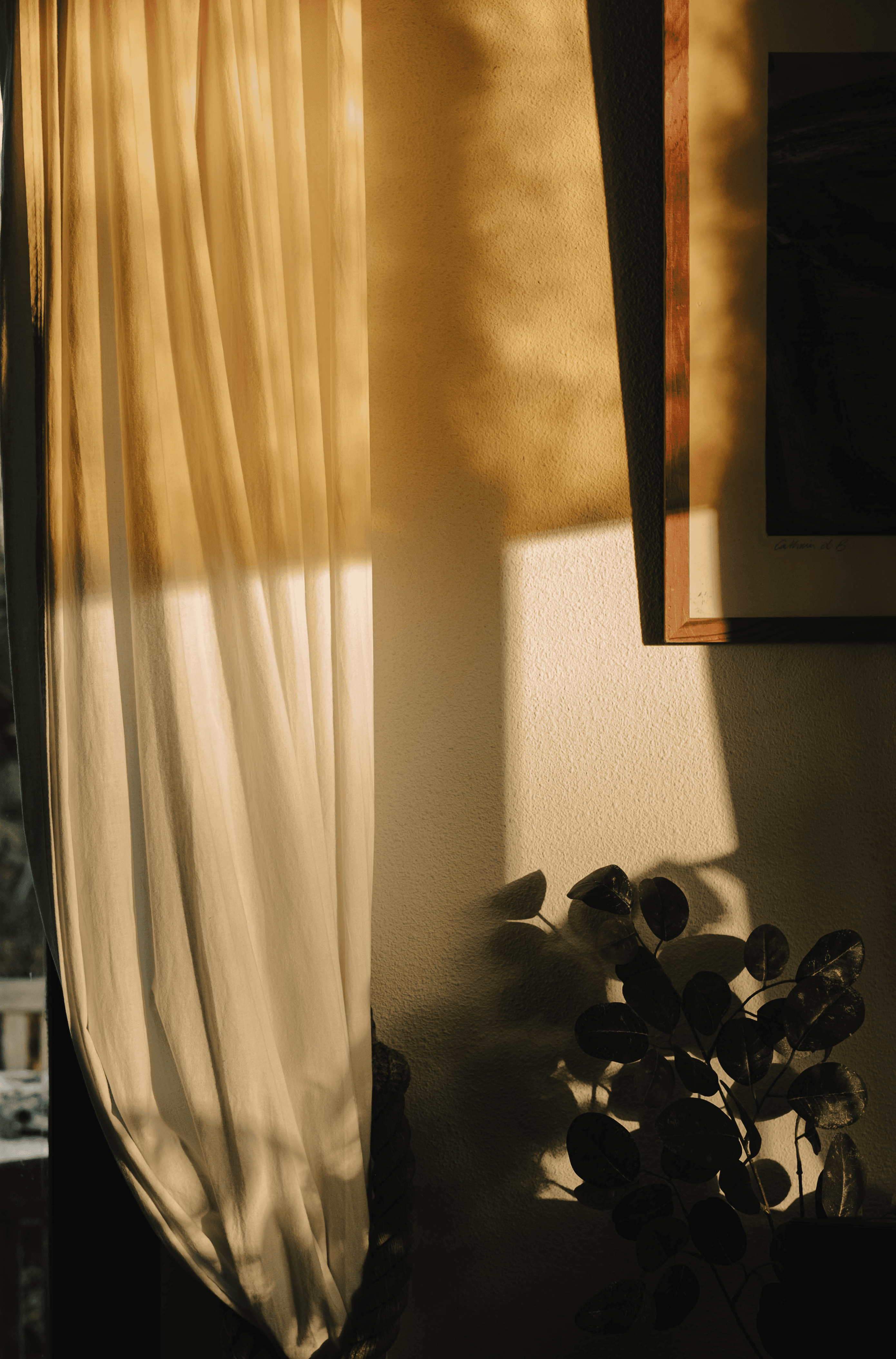 Dutch house interior bathed in warm sunset light