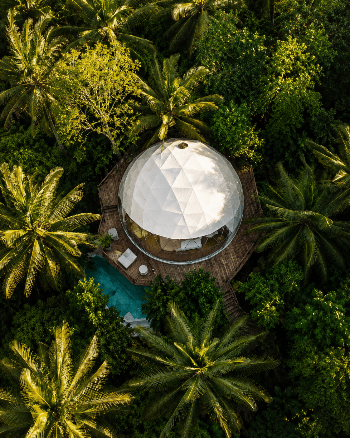 Guests enjoying a tropical resort pool