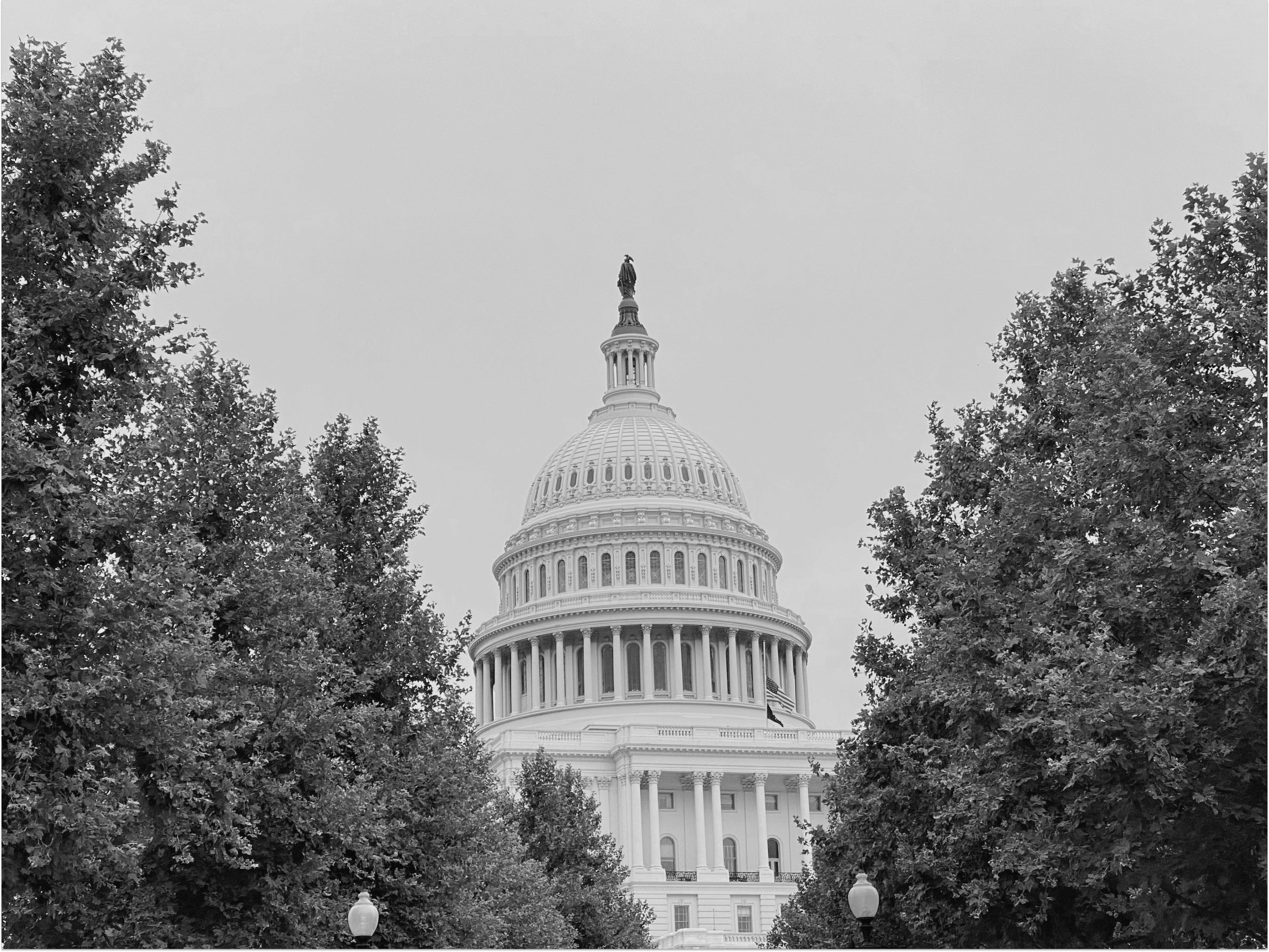 US Capitol as a symbol of government contracting.