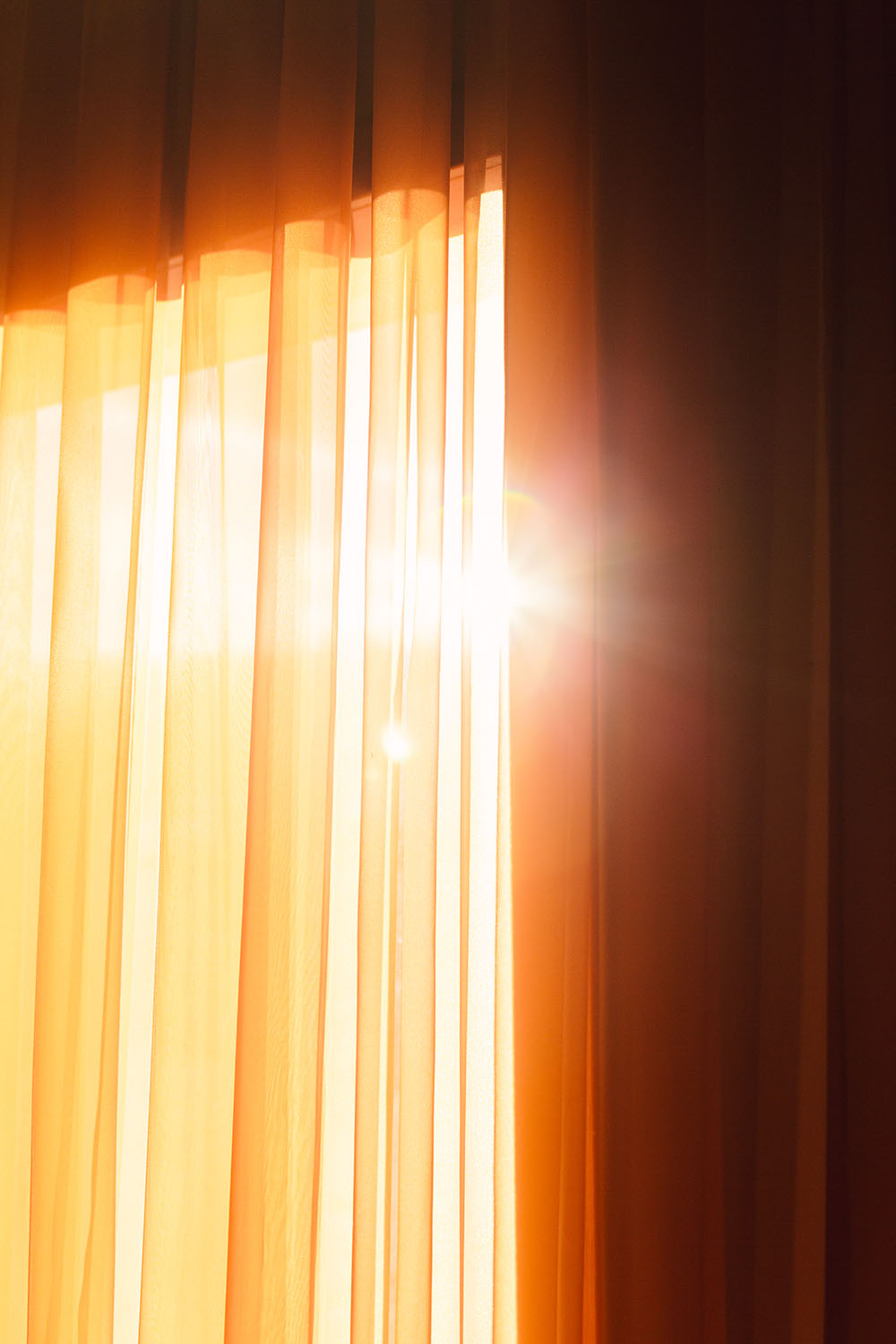 Warm natural light coming throught the window of the lobby at Particle Studios in Seattle, WA.