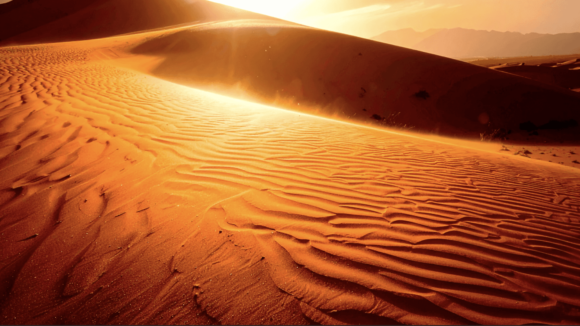 Un autre cliché des dunes désertiques, baigné par une lumière dorée du soleil, mettant en avant la fluidité du sable. Cela reflète l'idée d'un mouvement continu et de transitions, essentiel pour la création d'espaces modernes inspirés de l'architecture ancienne.
