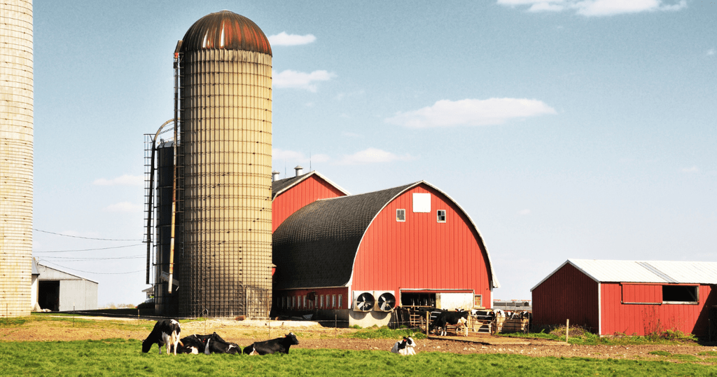 Vesting Orders | Lerners LLP Full Service Law Firm