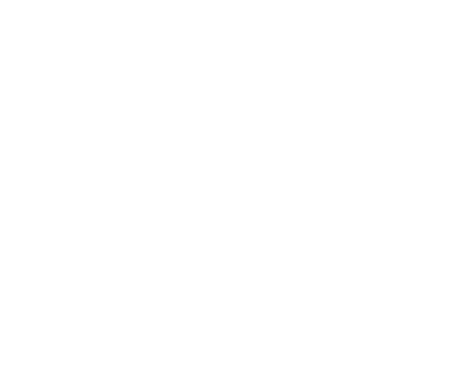 Foton logo