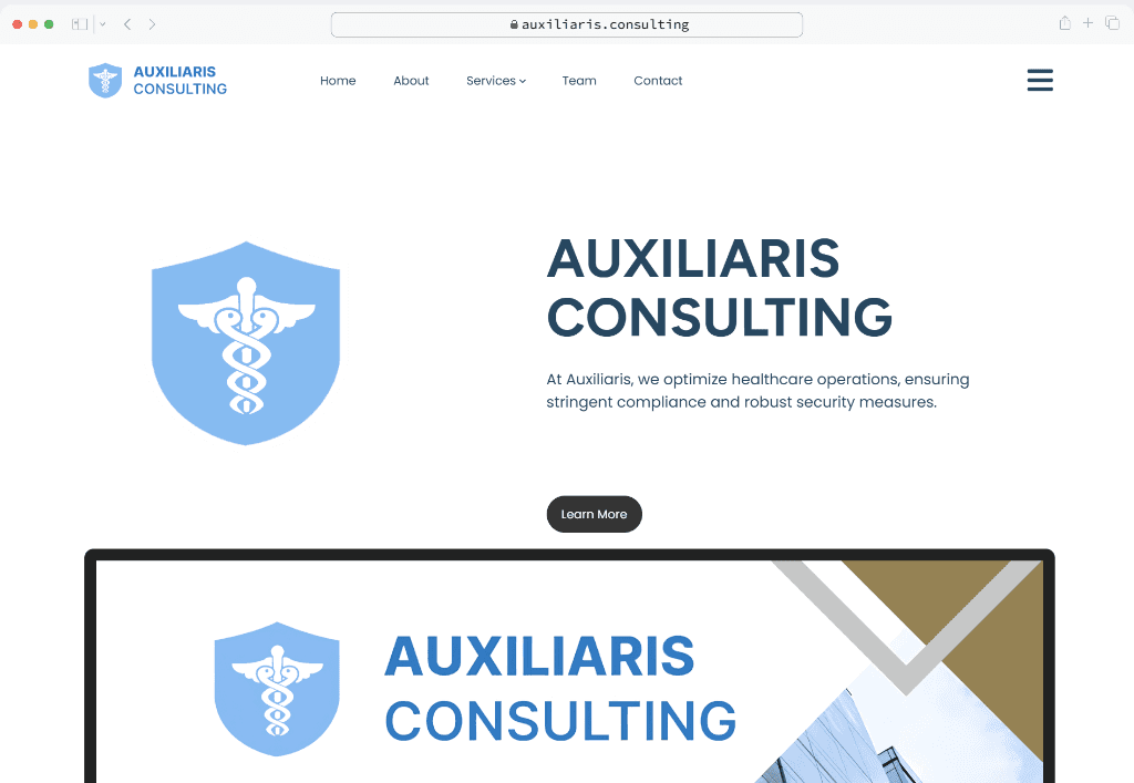 Newberry Software Auxiliaris Consulting