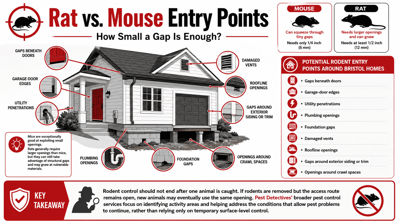 rat vs mouse entry points