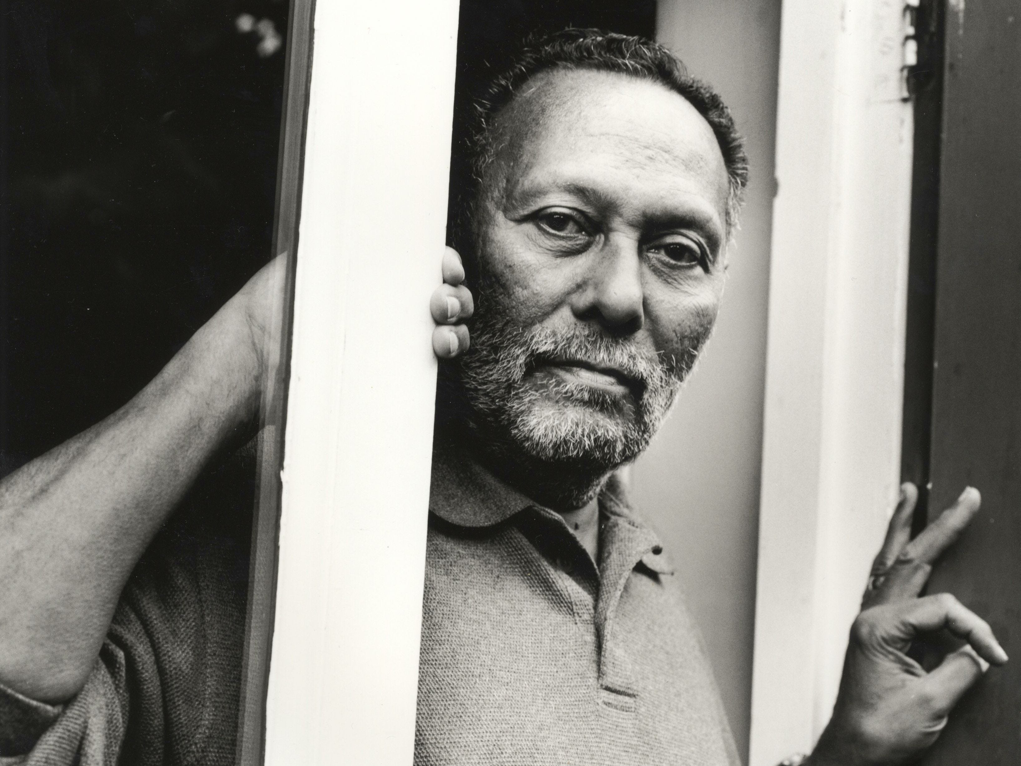 Stuart Hall and cultural studies