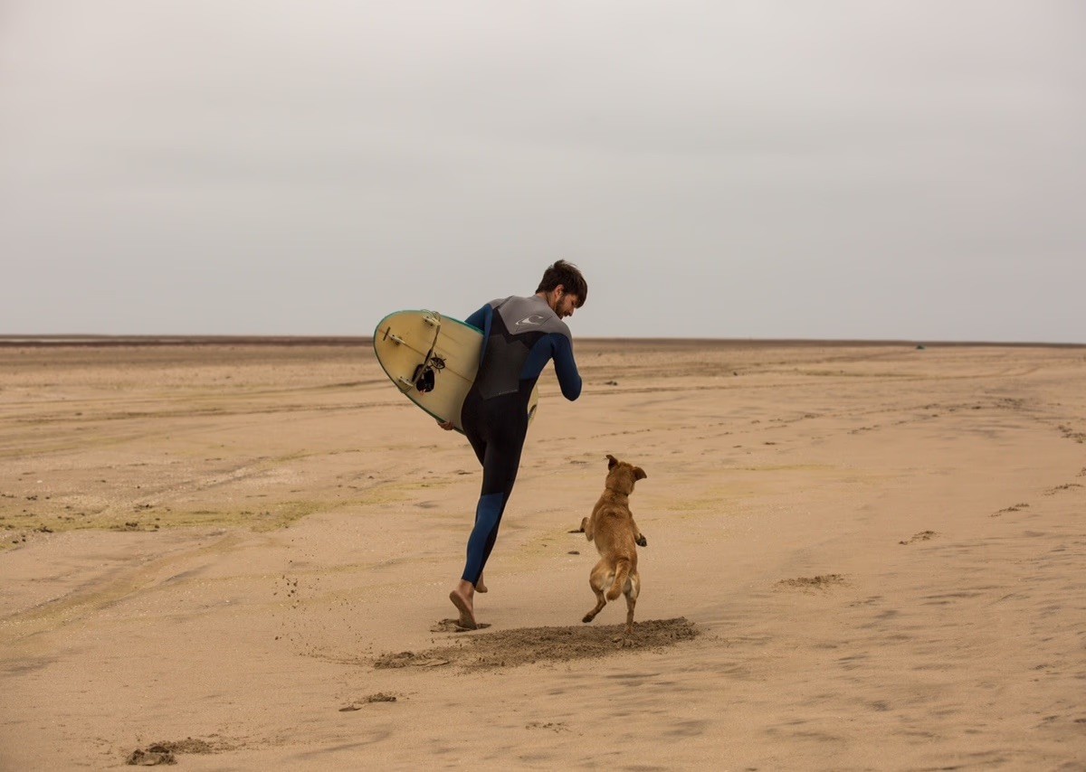 Surfer in a wetsuit running on the sand with a dog.