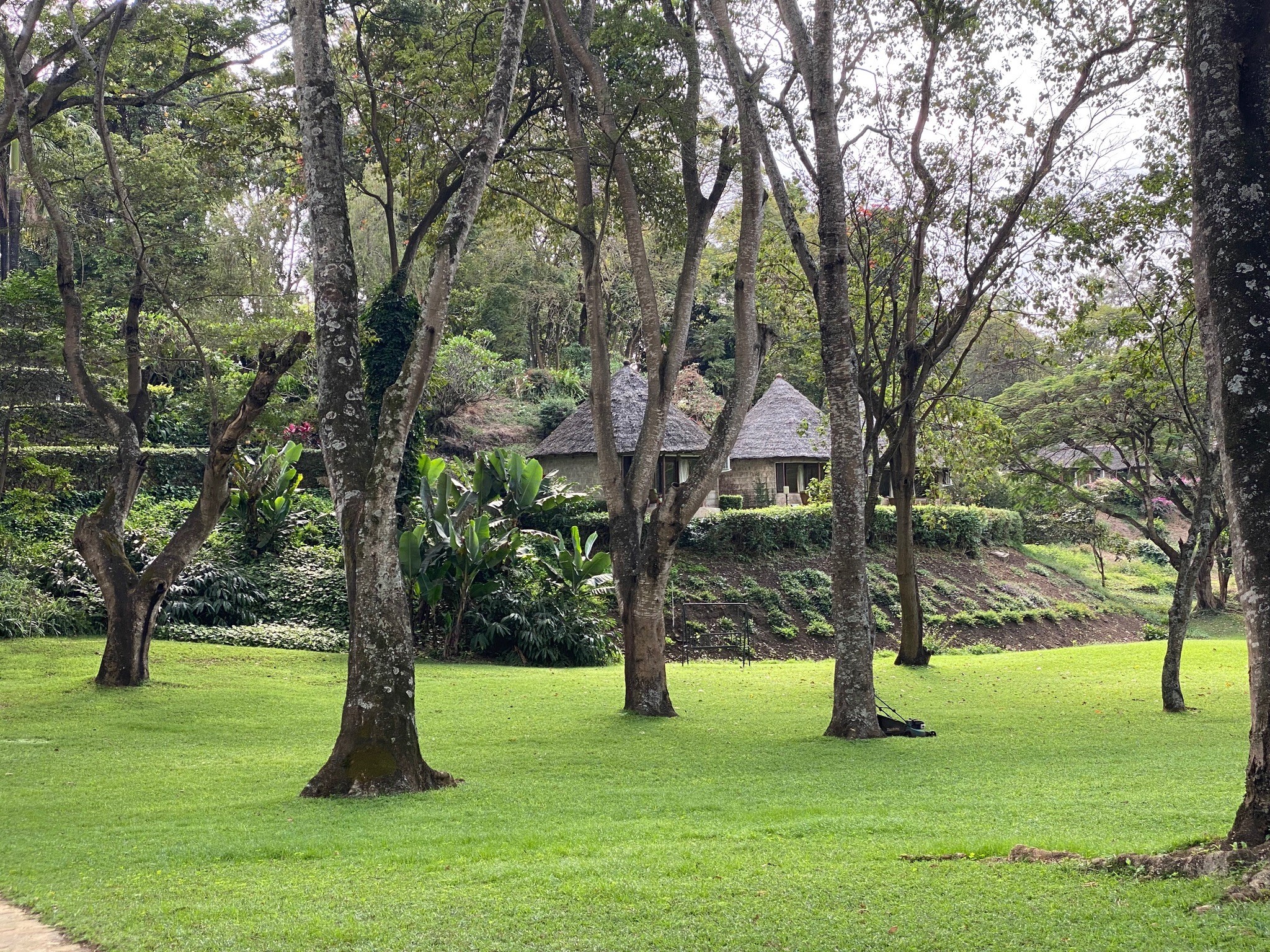 Travel to the most beautiful parks of Tanzania - Kembe Safari.