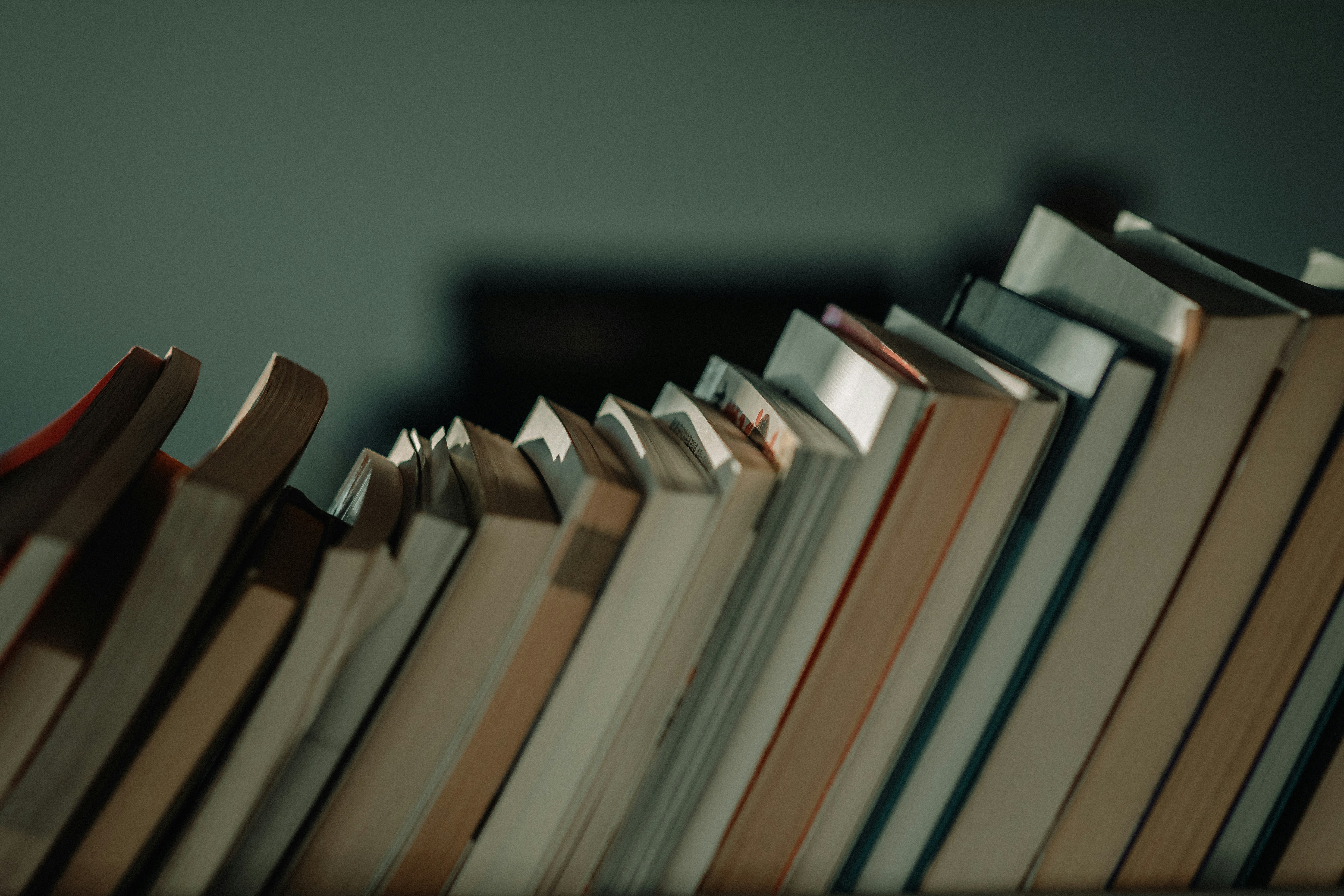 Books Arranged Vertically- Anatomy Book