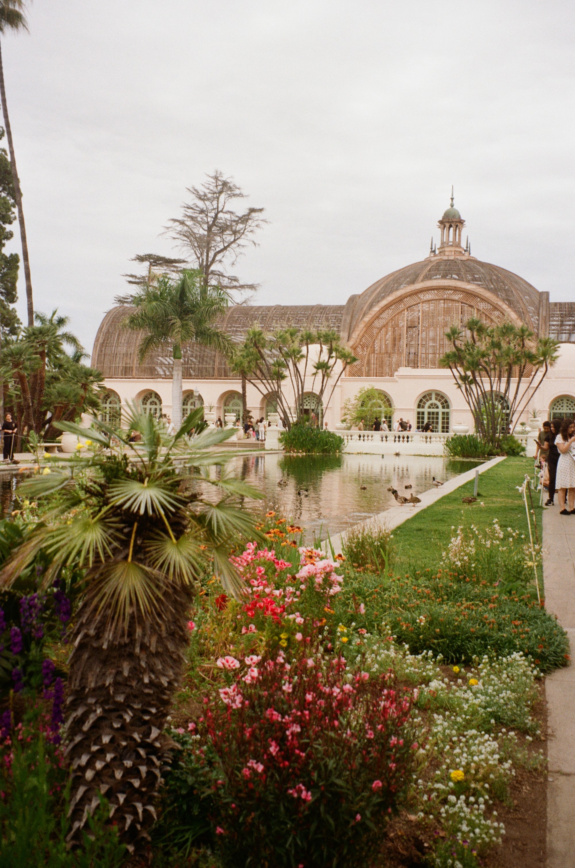 Ornate domed building with gardens and palm trees