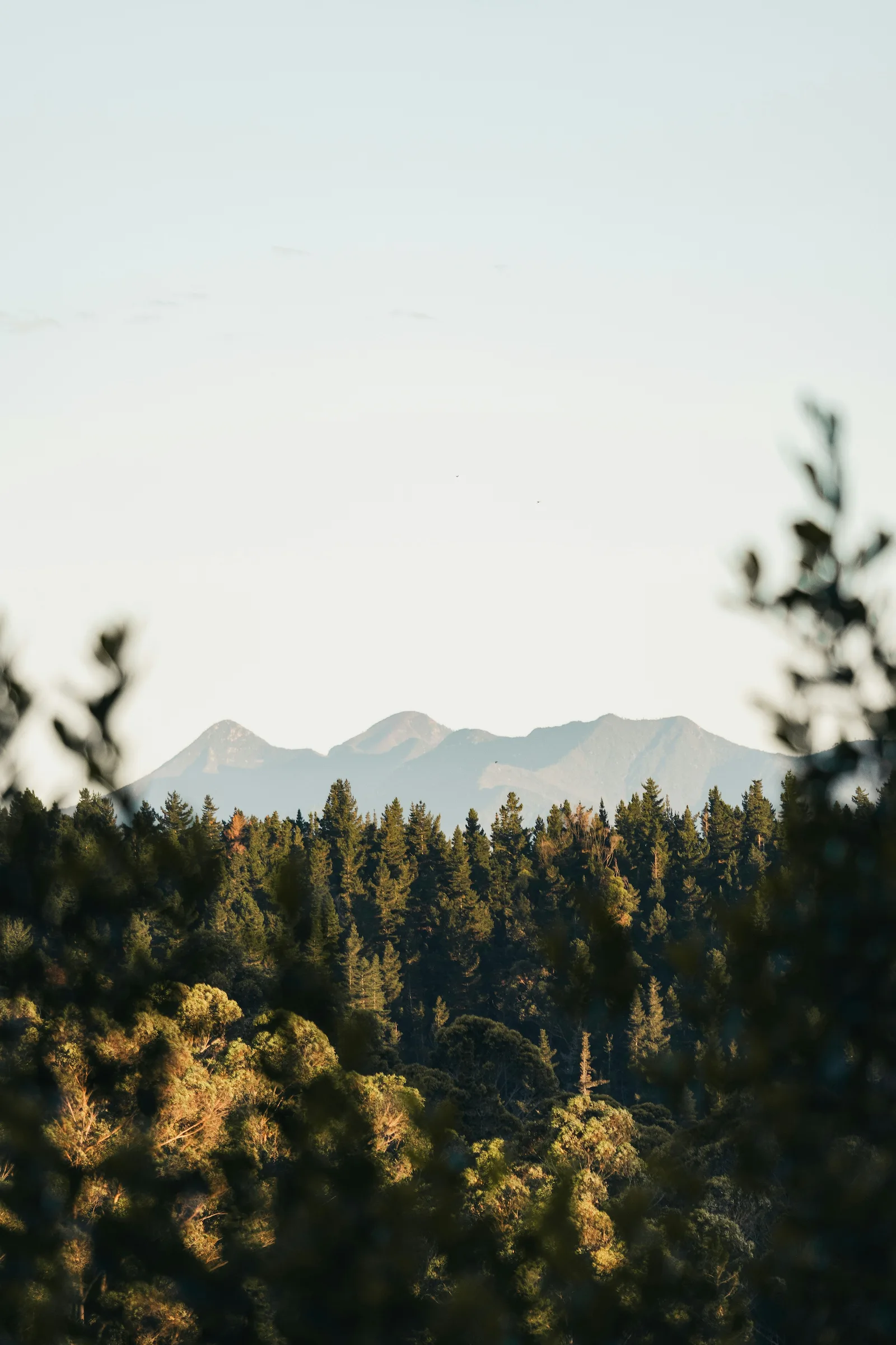 Background mountains fading away in the background