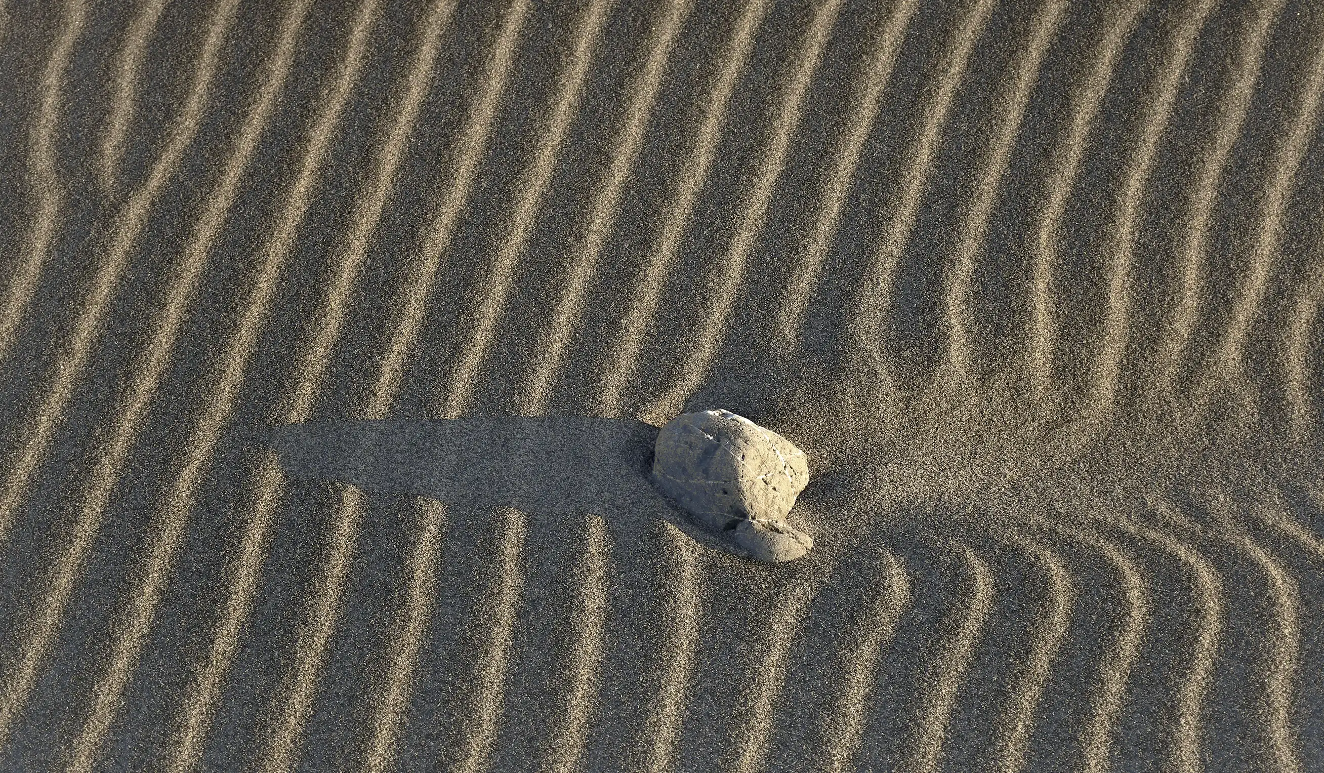 Rock resting on rippled sand, casting a long shadow in natural light.