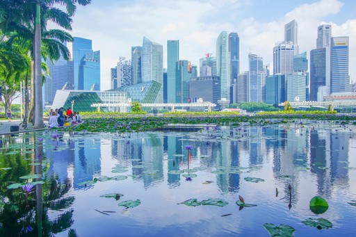 photo of city and lake scenery