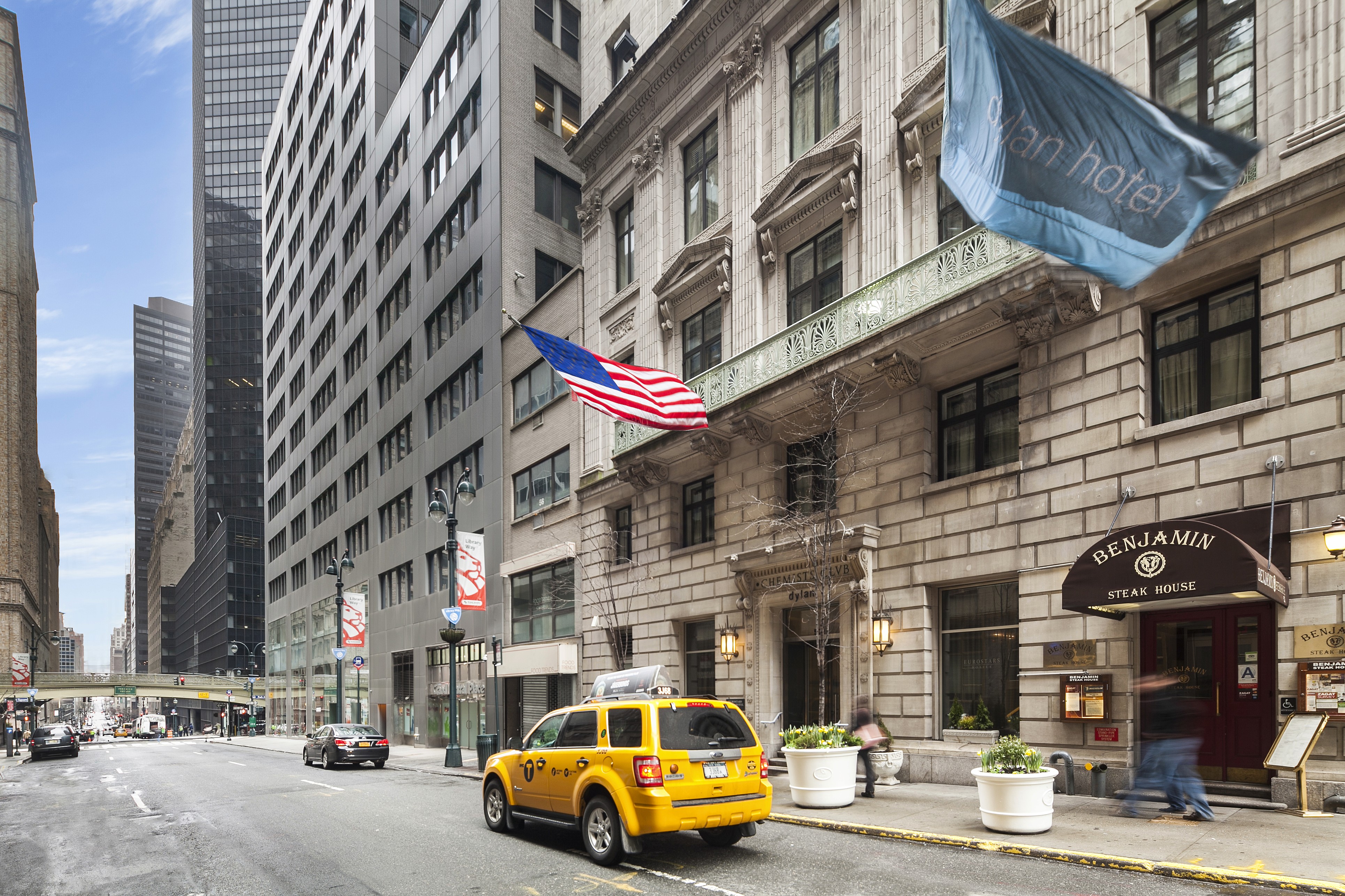 Olive Essence: A Portrait in Bloom