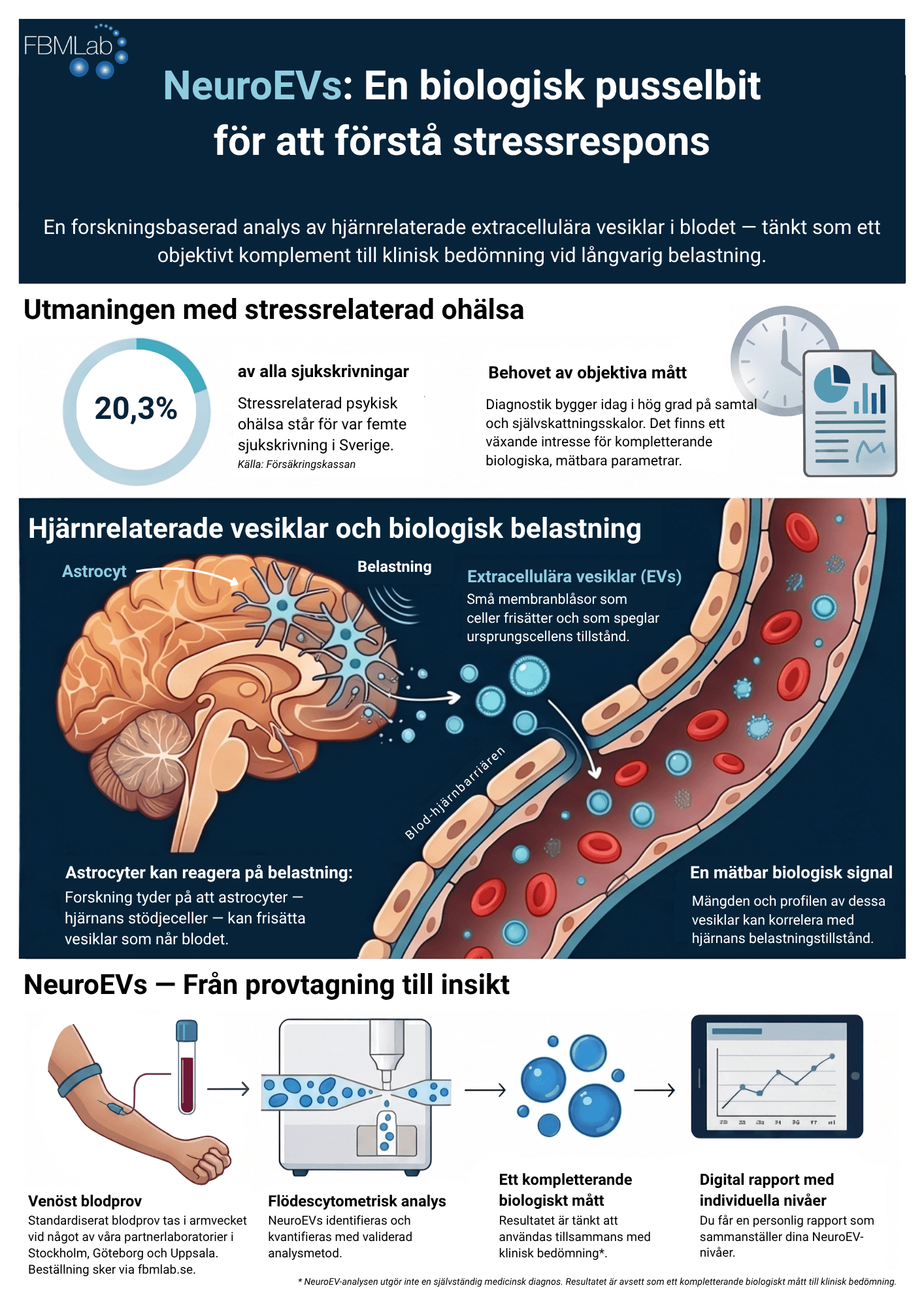 Infografik som visar hur NeuroEV-analysen mäter hjärnrelaterade extracellulära vesiklar i blodet som biologiskt komplement vid stress och utmattning