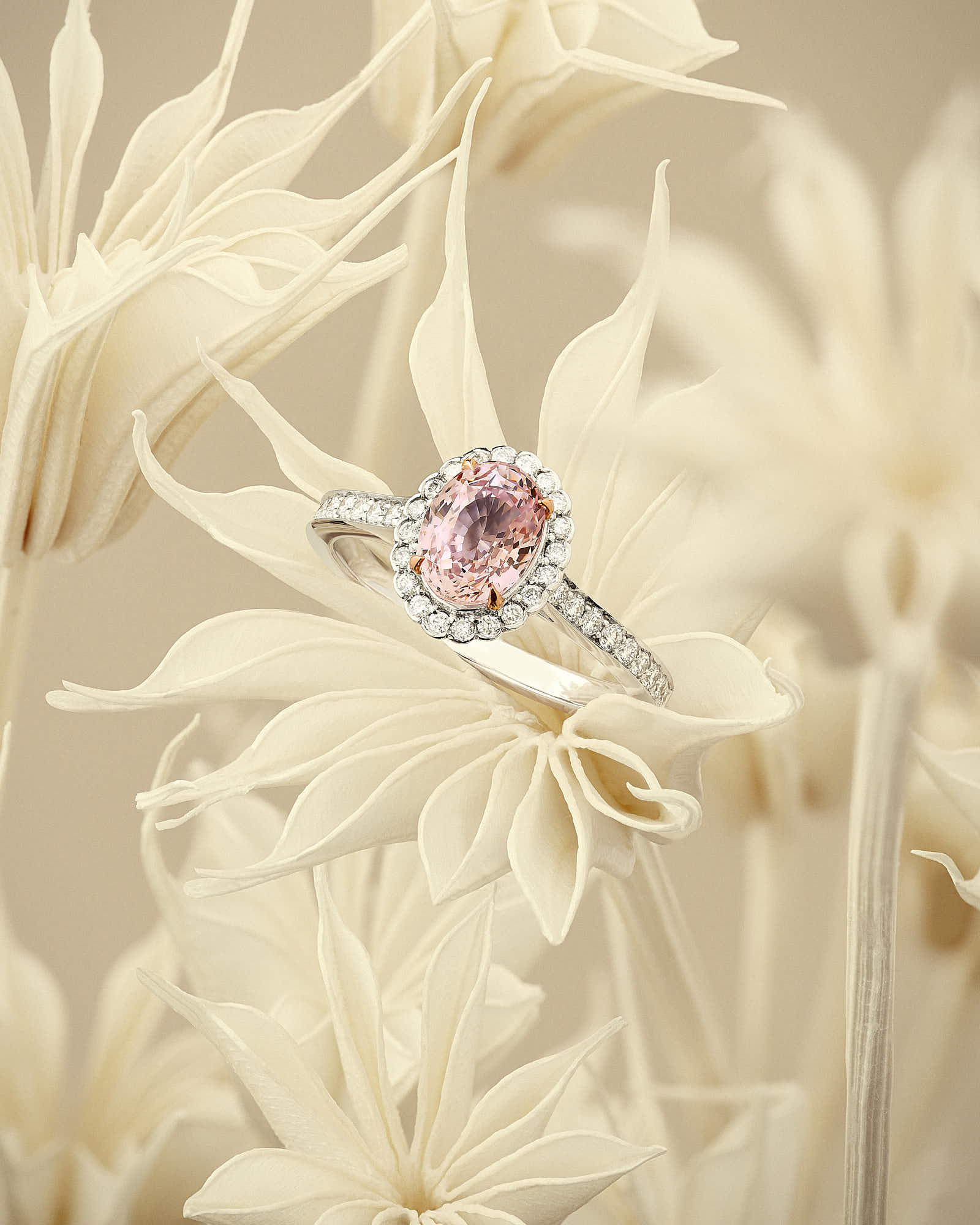 Elegant diamond and pink gemstone ring showcased among delicate white flowers.