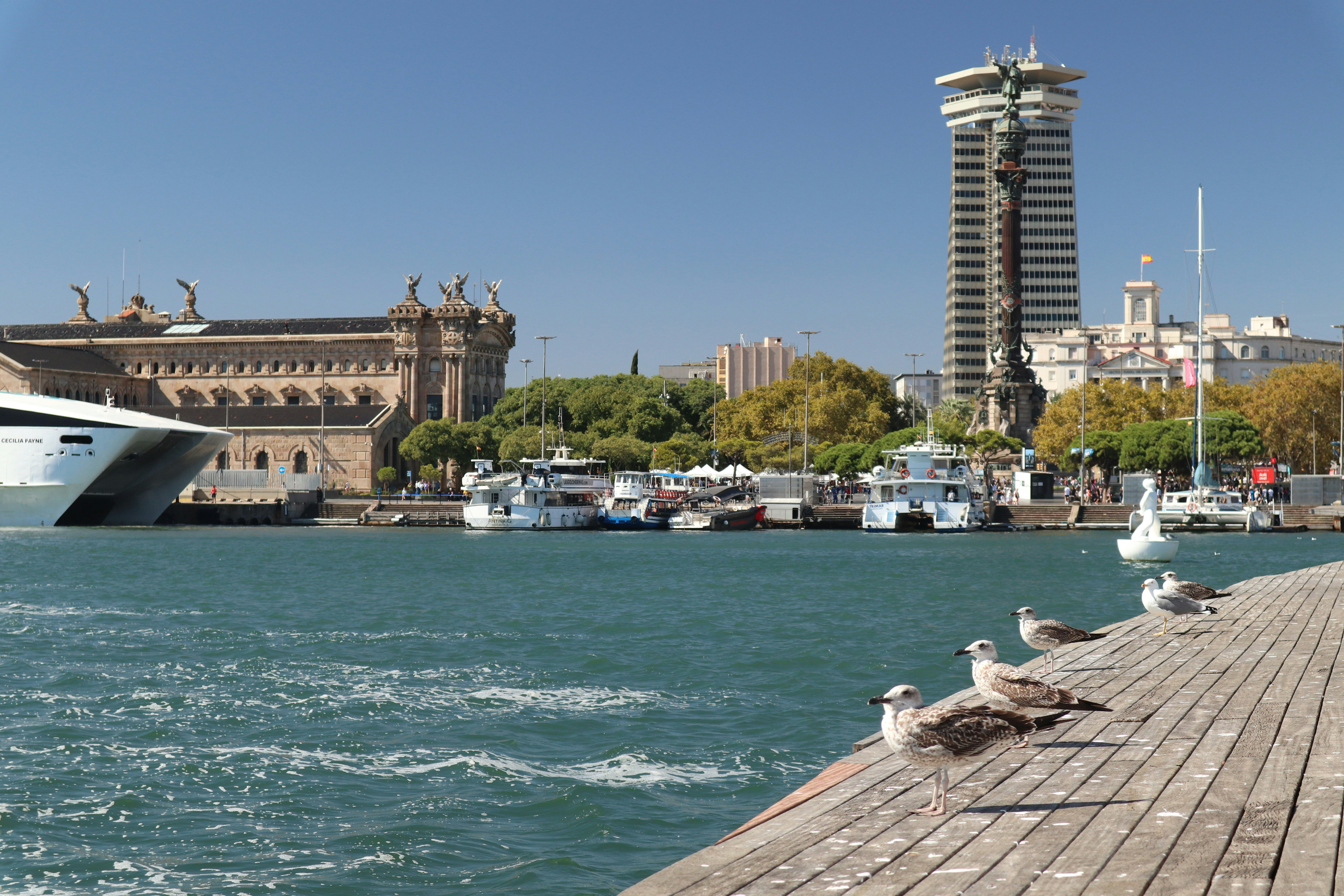 a body of water with boats and buildings along it