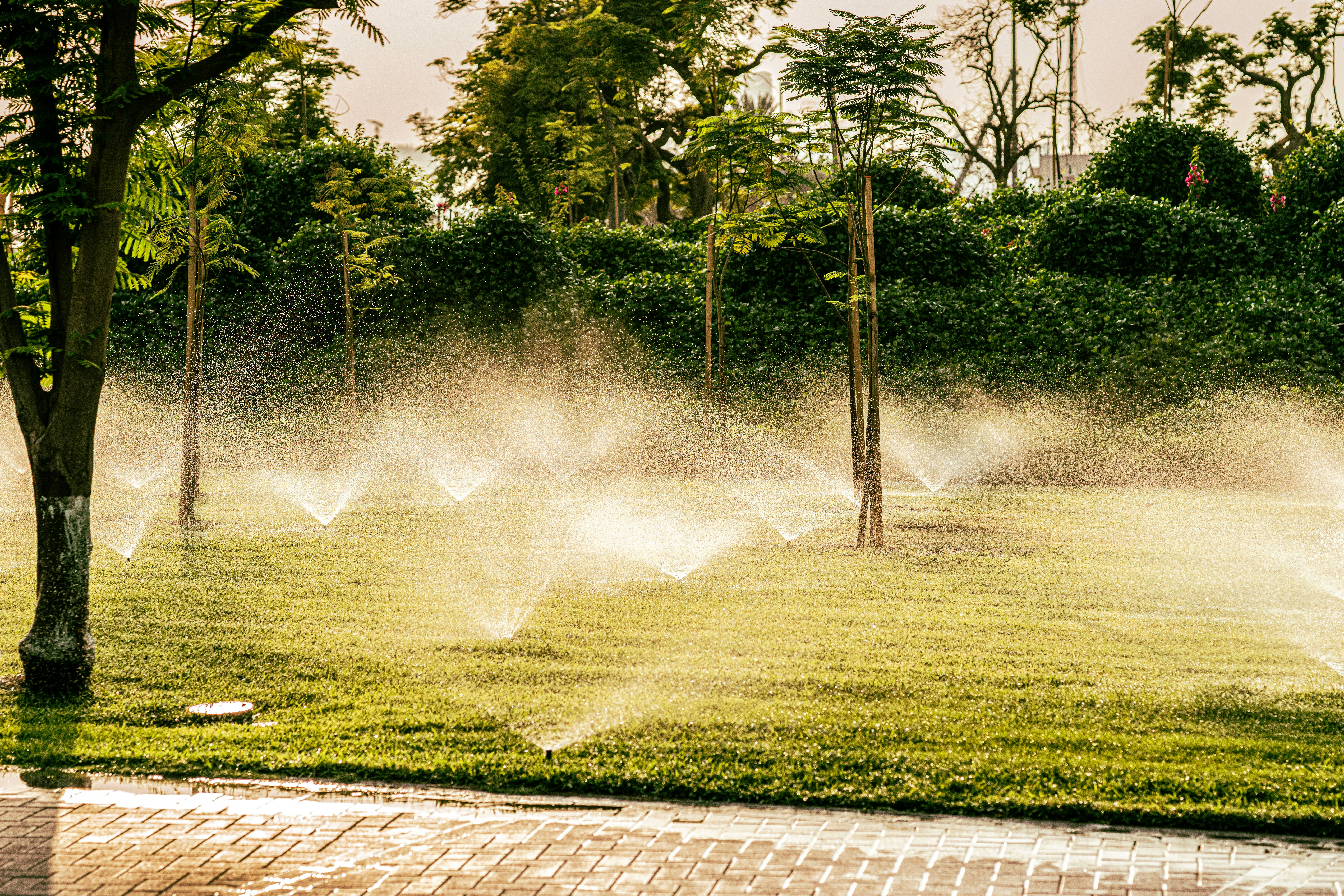 a group of sprinklers are spraying water in a park