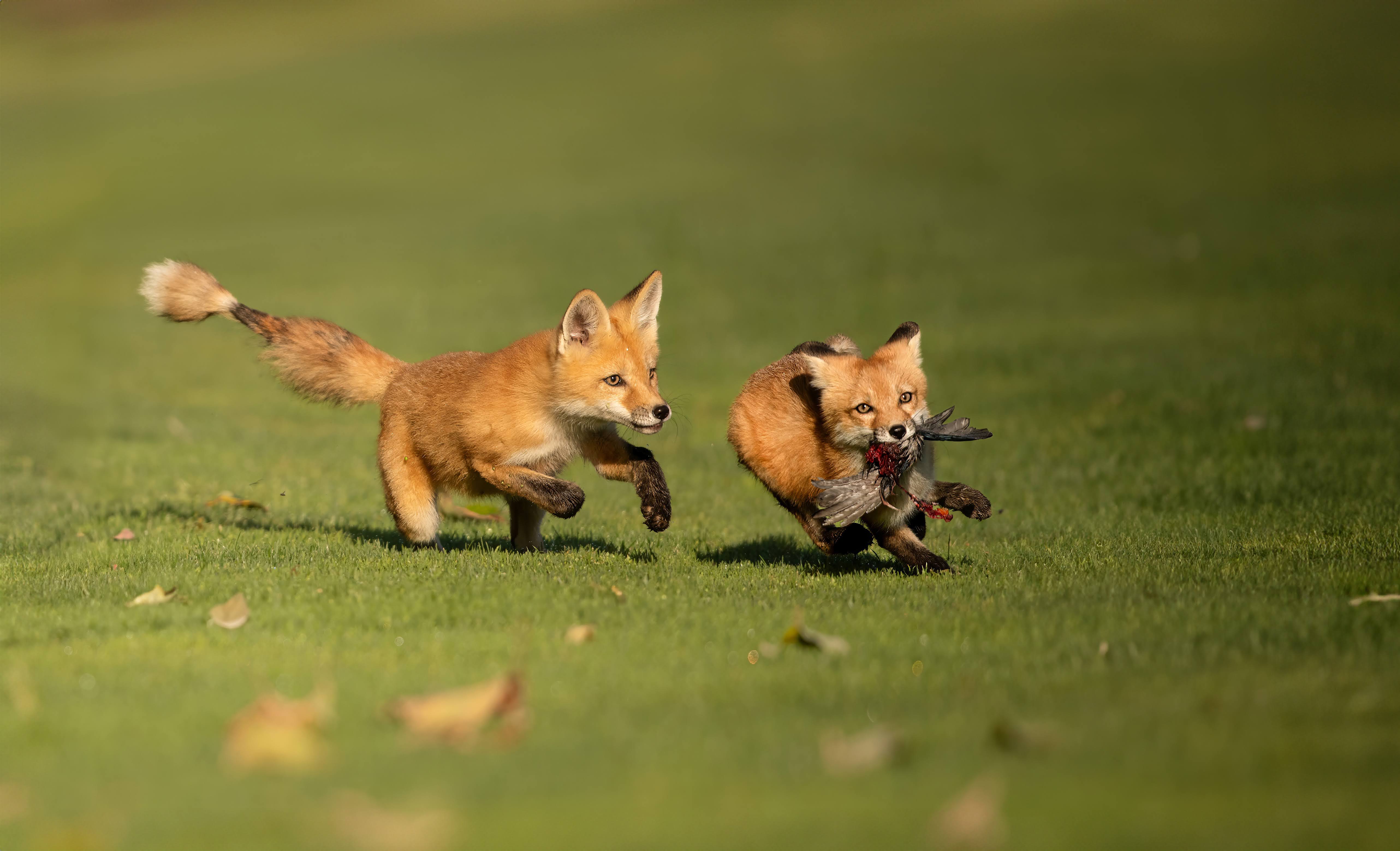 Photo of Irene in a neon scene