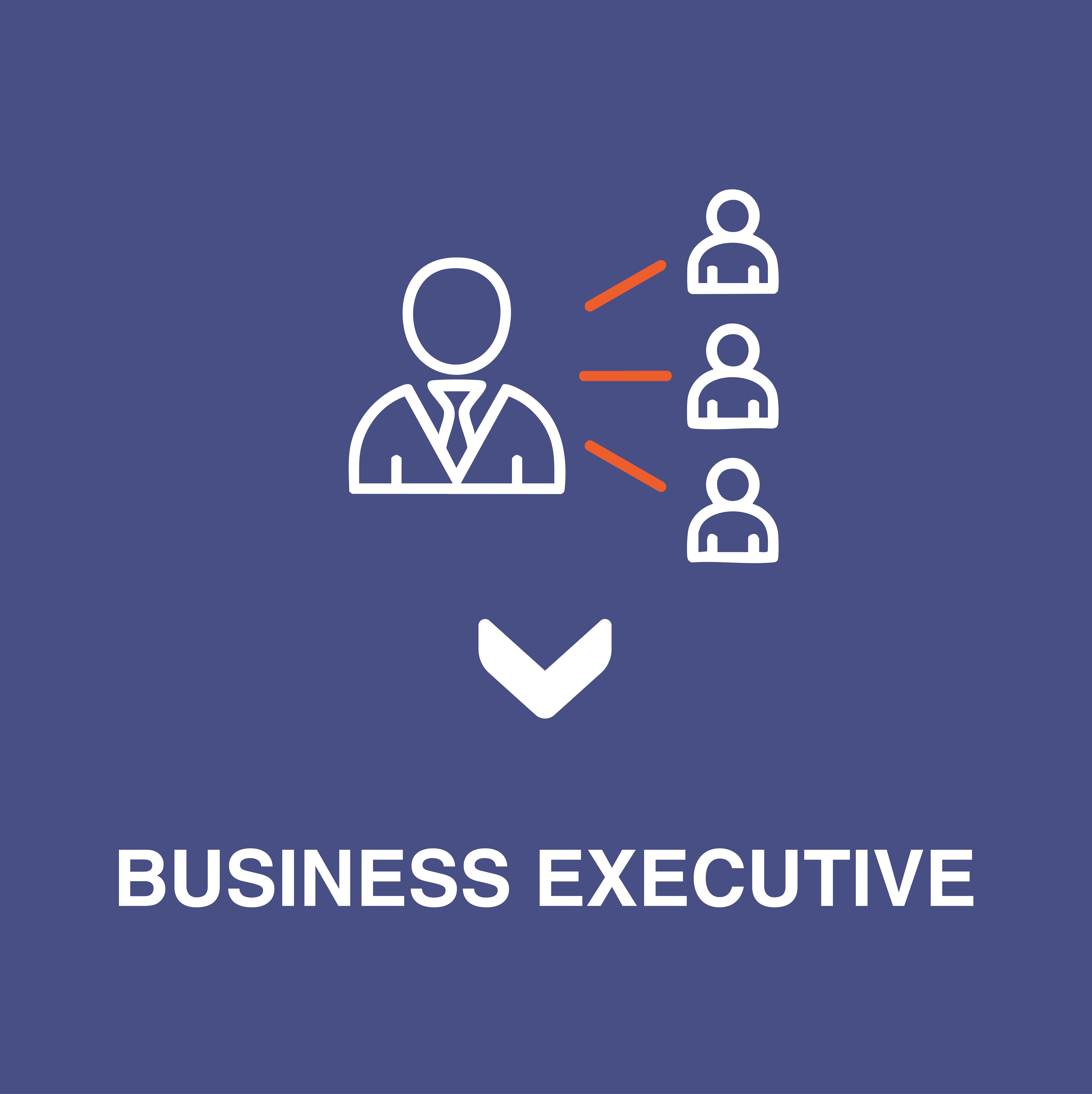 icon of the outline of a person in white with three orange lines leading to three smaller white people on ablue background with text that says business executive