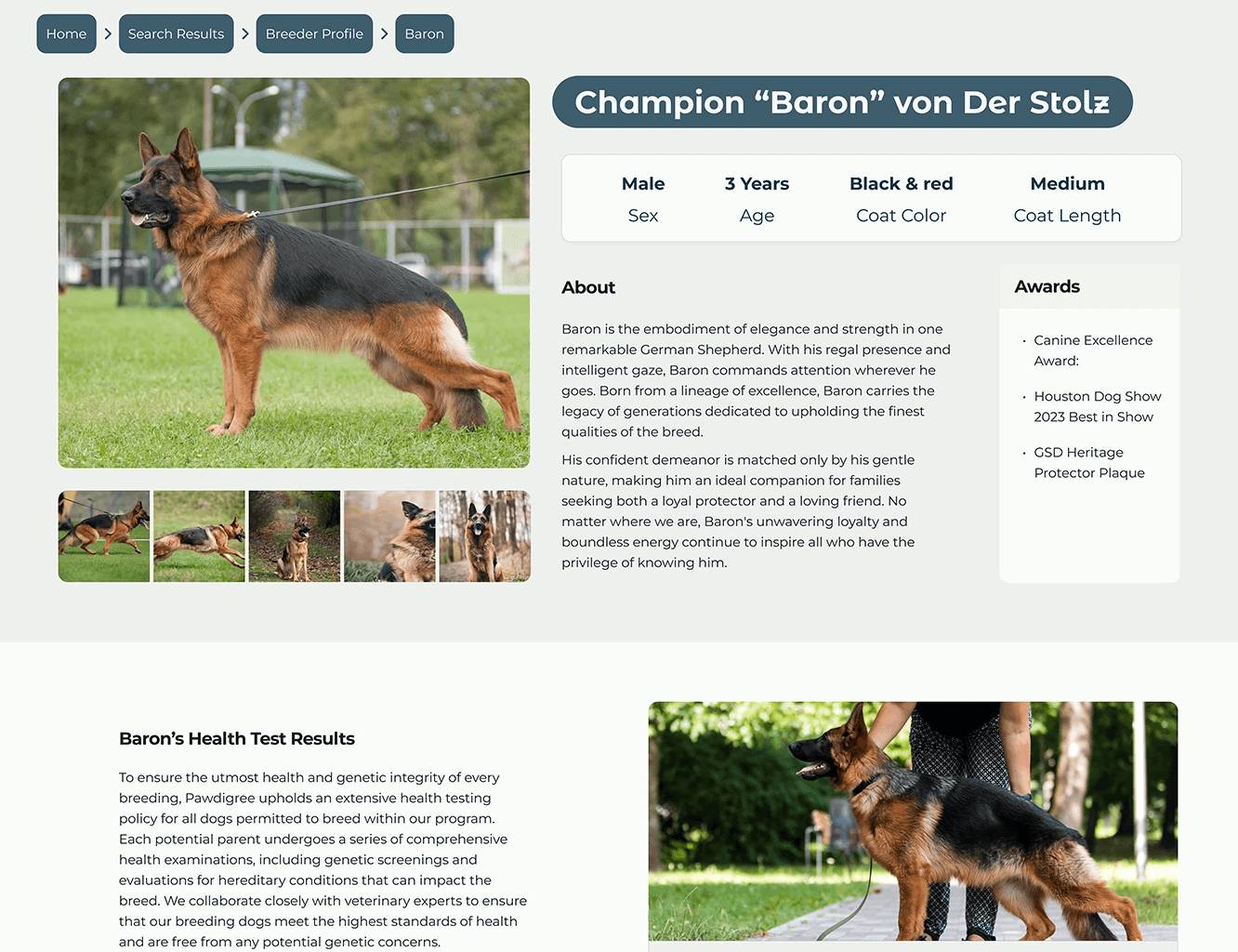 a dog breeder's social media post about hikinh with their dogs.