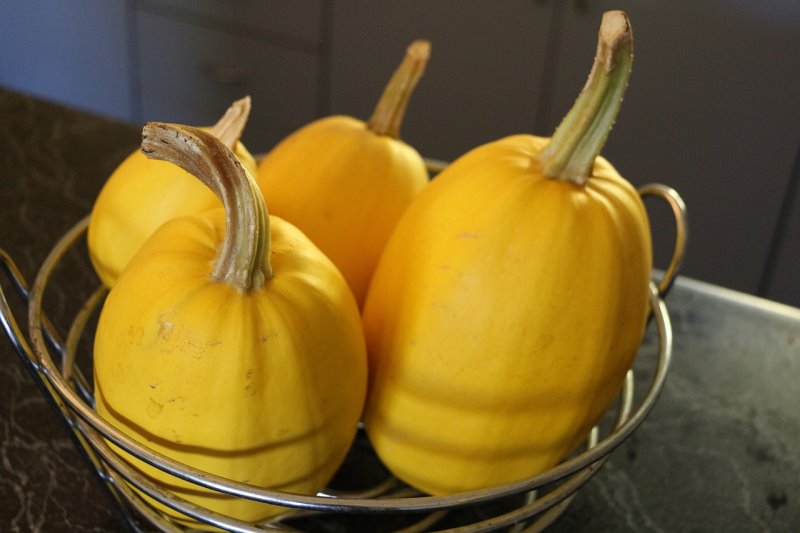 Zucca Spaghetti
