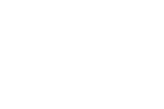 Elliott Scott logo