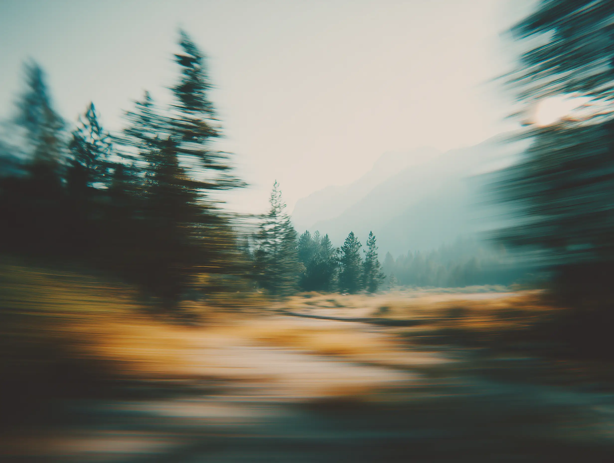 Blurry images of a mountain landscape with pine trees passing by