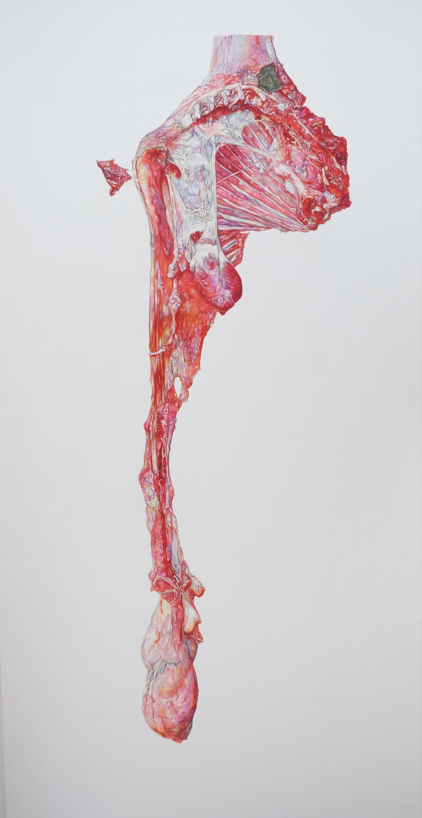 herd of sheep on road painting