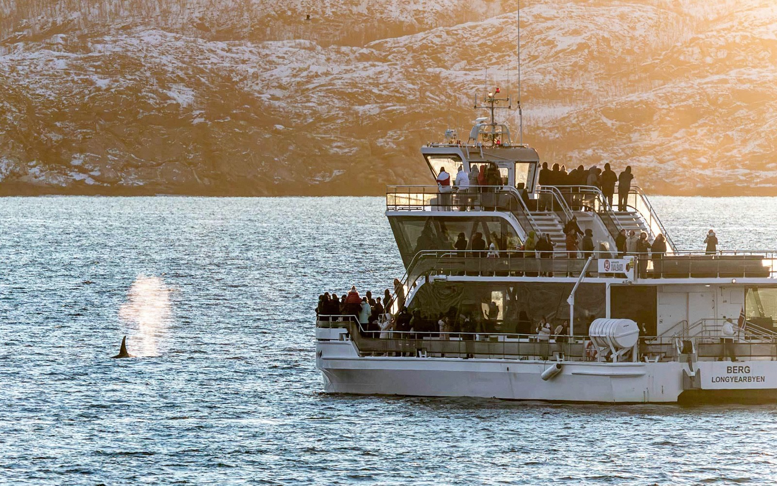 Гібридний електричний круїз з пасажирами, що спостерігають за китом в арктичних водах.