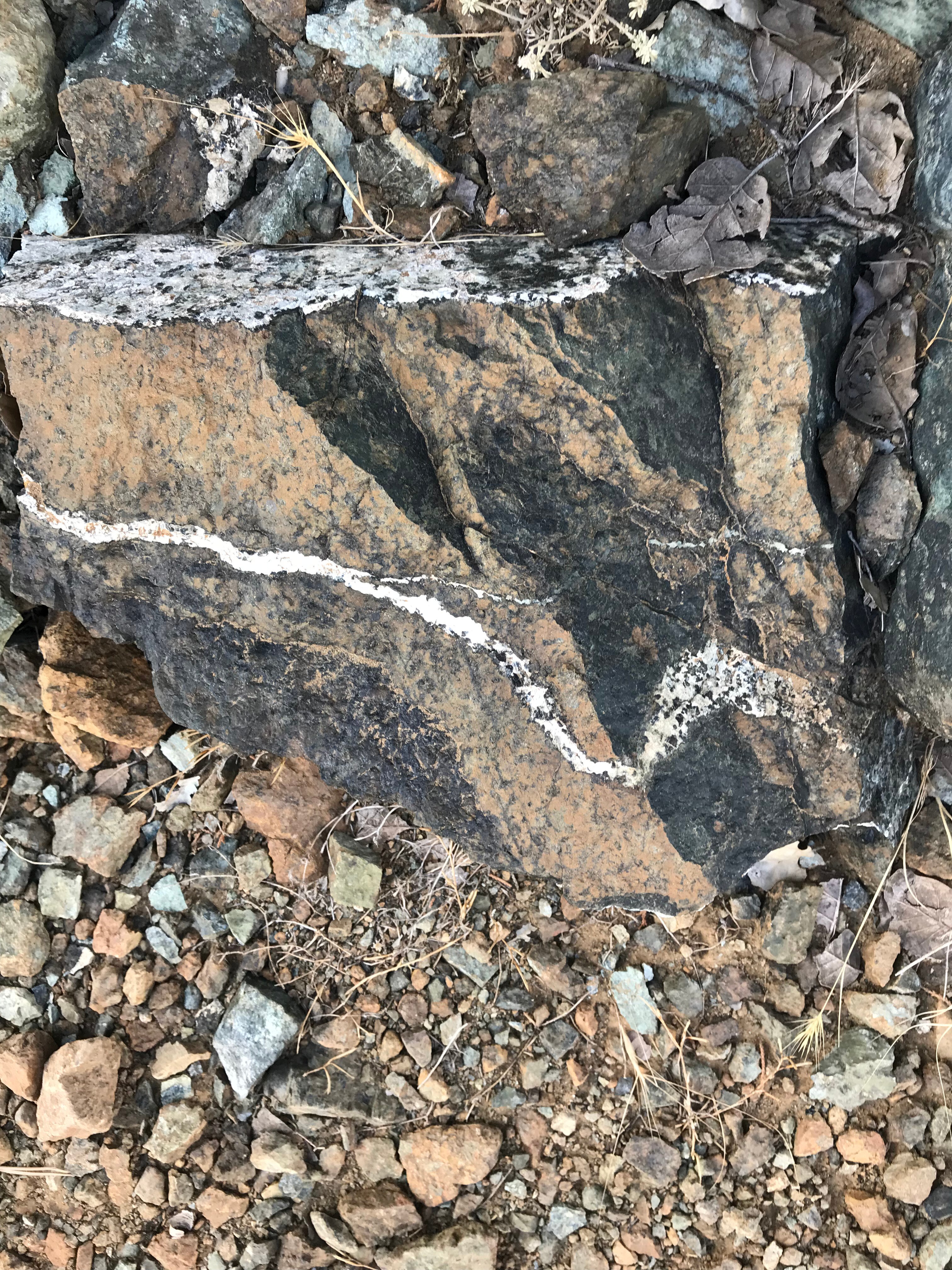 A smiling young man with crossed arms, wearing a plaid shirt and white t-shirt, poses against a dark background.