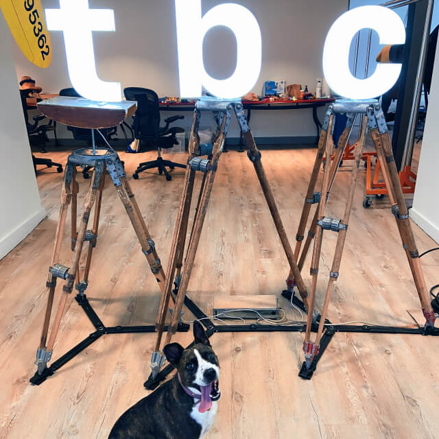 A dog sits on a wooden floor in front of three large illuminated letters spelling TBC on tripods, embodying the creative spirit and welcoming vibe of agency careers in a modern office setting.