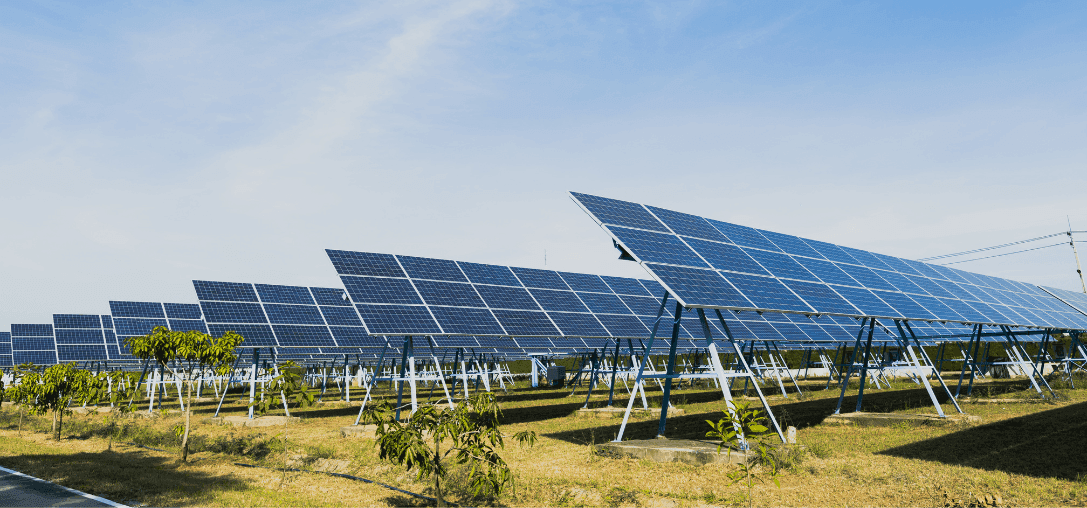 réalisation d'une ferme solaire