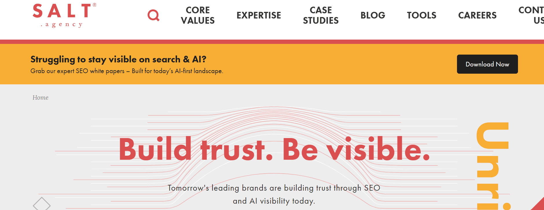 saly agency - SEO Agency Leeds