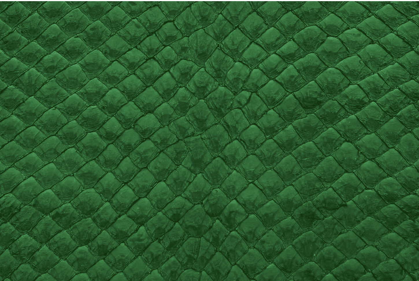 pirarucu hide in green color