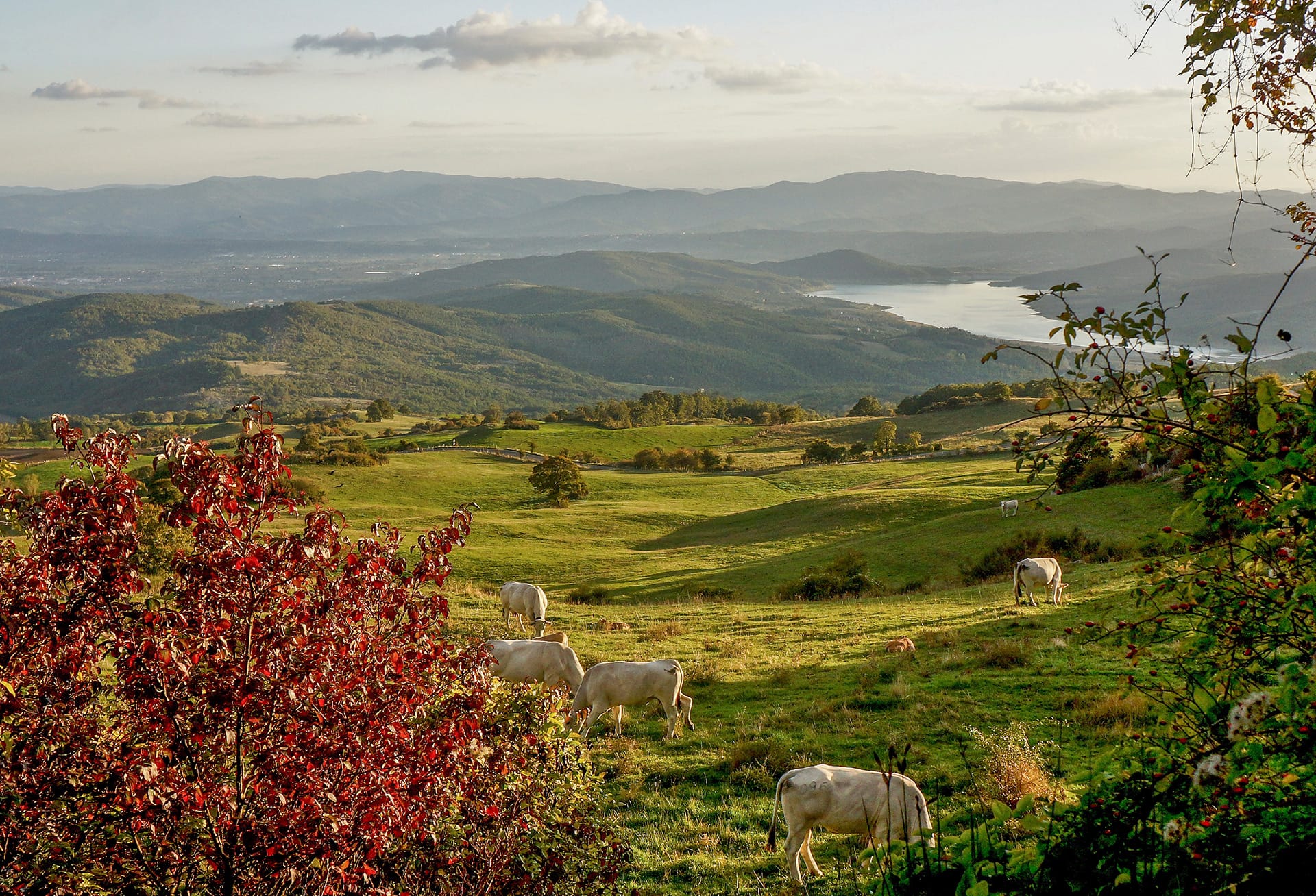 fly fishing holiday in Tuscany