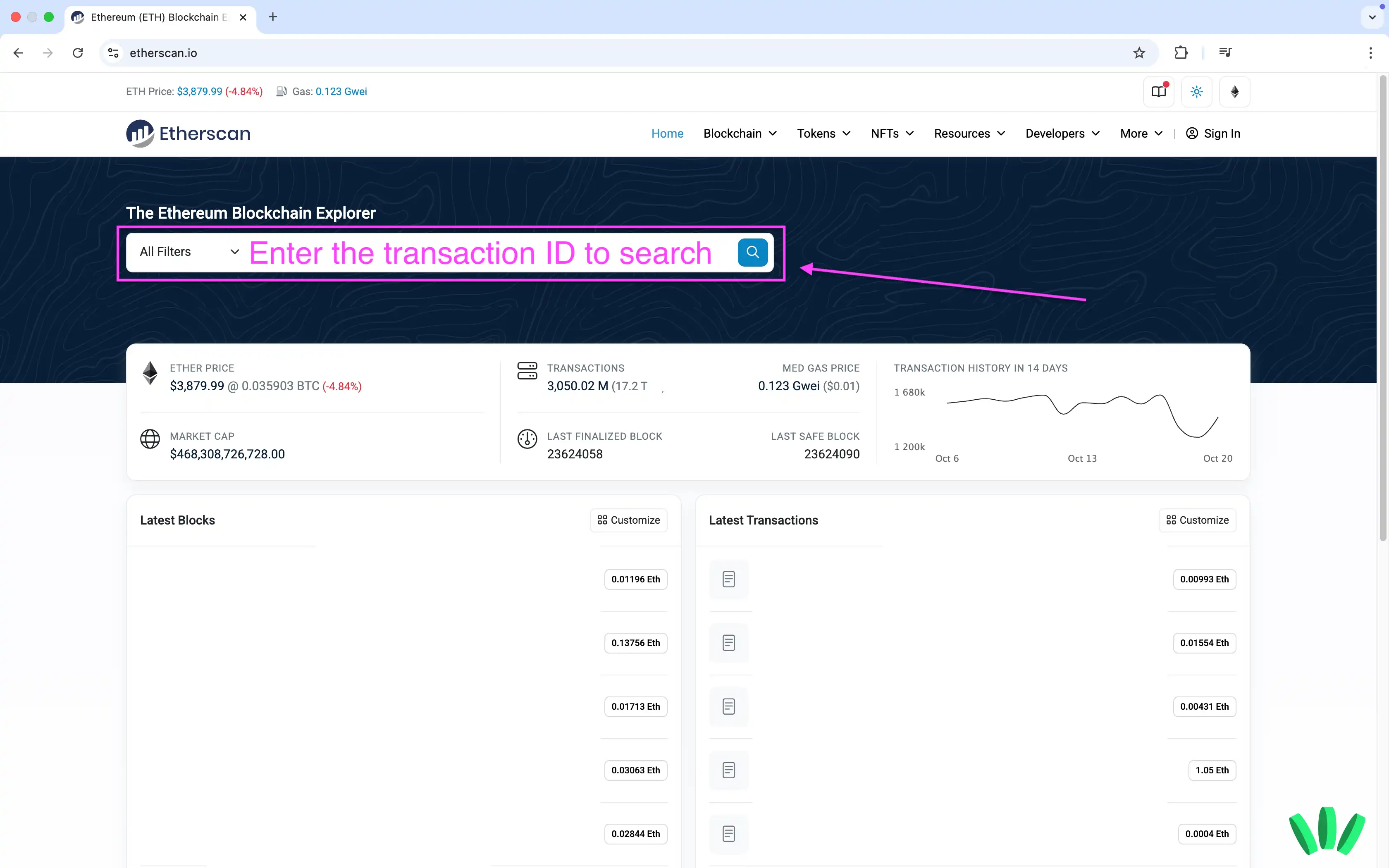 On a block explorer, you can search by txid, address, or block number.