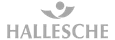 Logo der Hallesche in grau