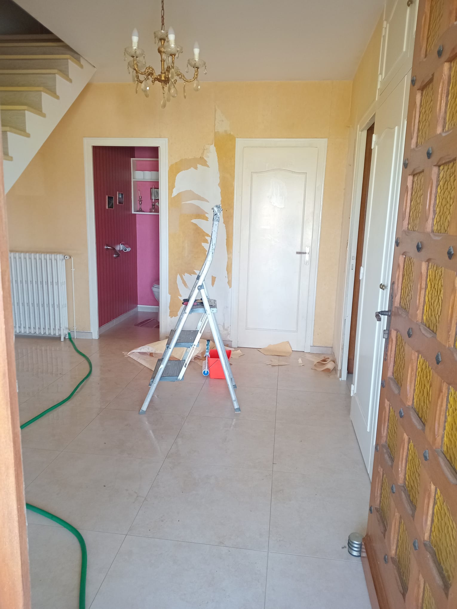 Un arbuste avec a son pied des fleurs et en fond une maison flou