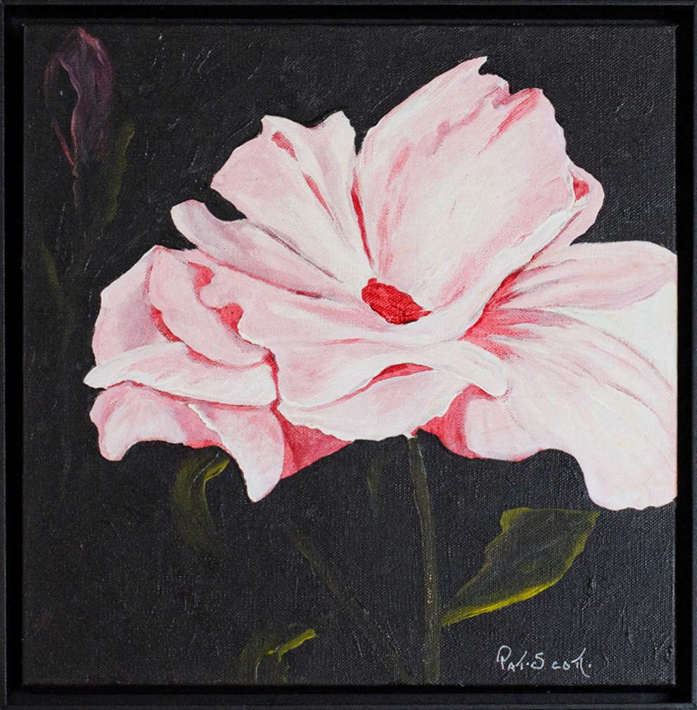 A soft pink rose stands illuminated against a dark background.