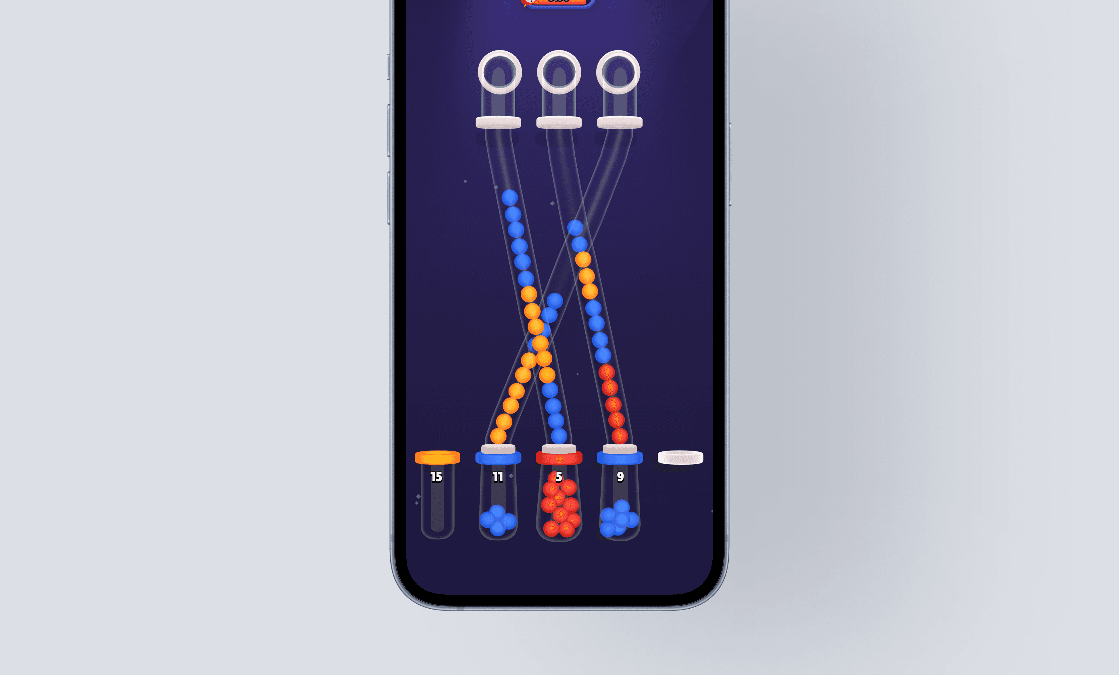 Large Project Gallery Image #2