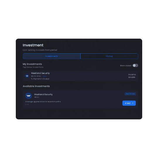 Daily limit card showing $2,500 spent, representing 12.5% of the total limit