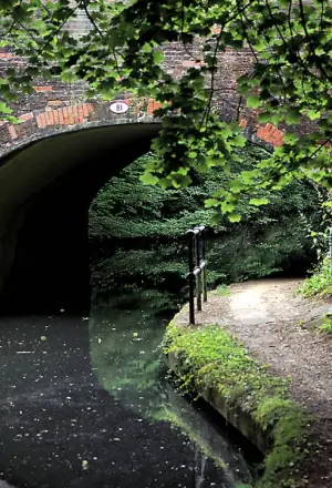 Seagull Control Solihull