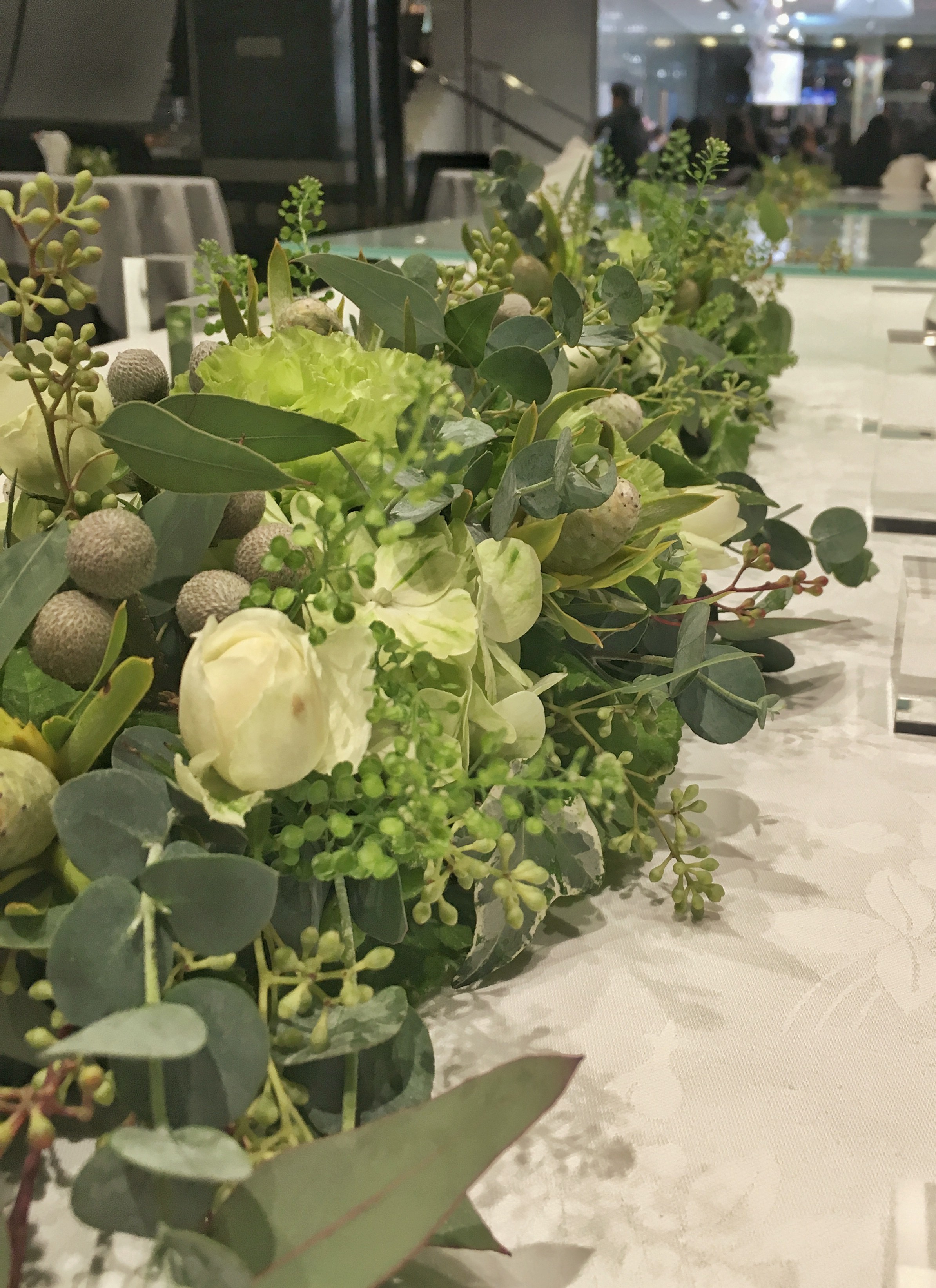 woman holding green leafed plant