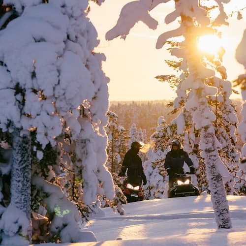 Two people riding snowmobiles through a snow-covered forest at sunset, with sunlight filtering through the trees.