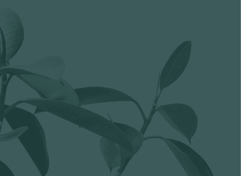 Background image showing plants