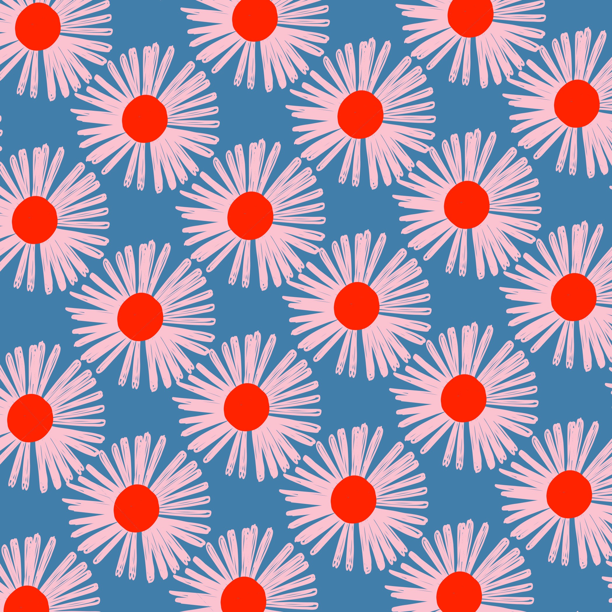 Pink daisies