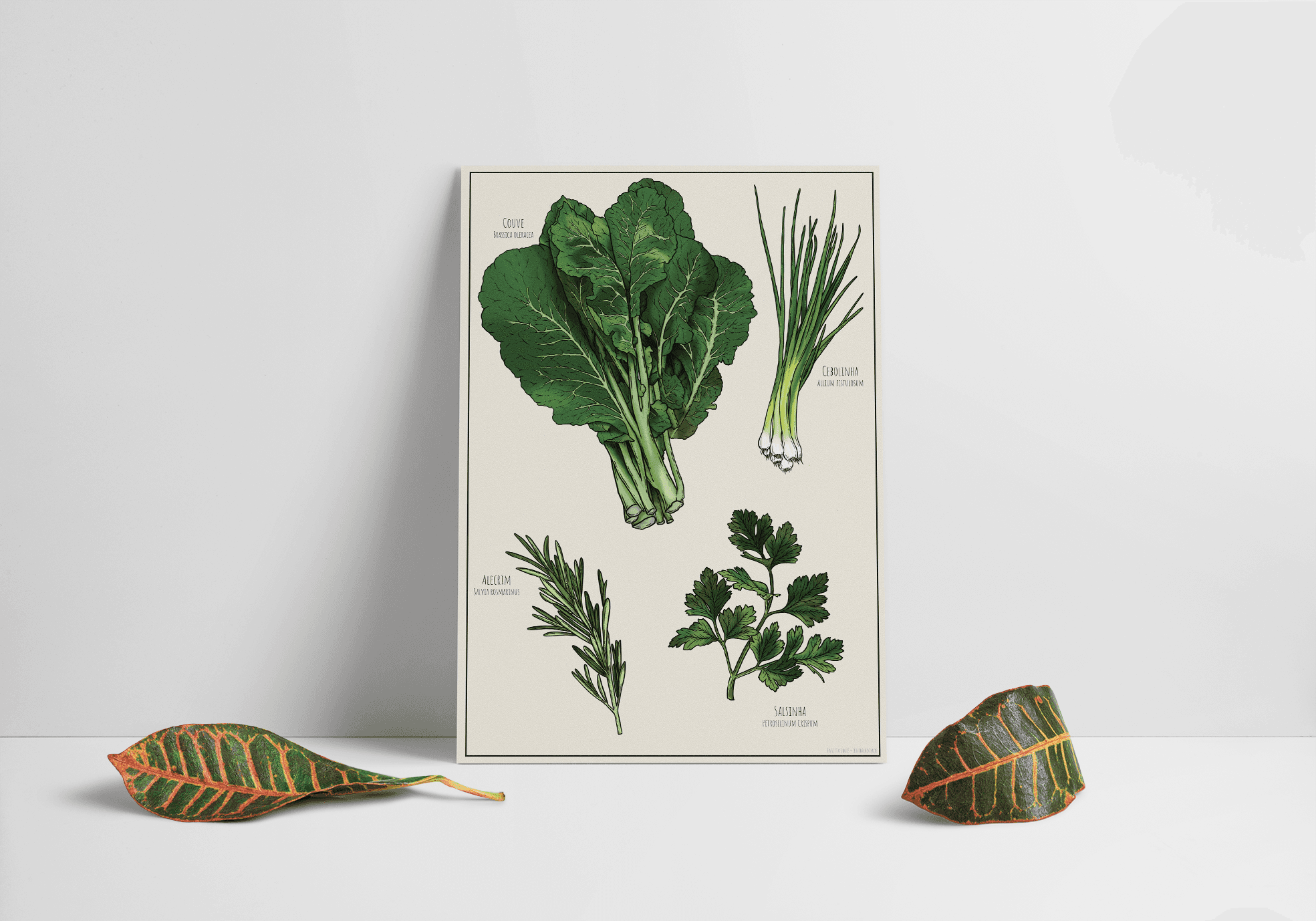 The image featured at the top of the about us page #2