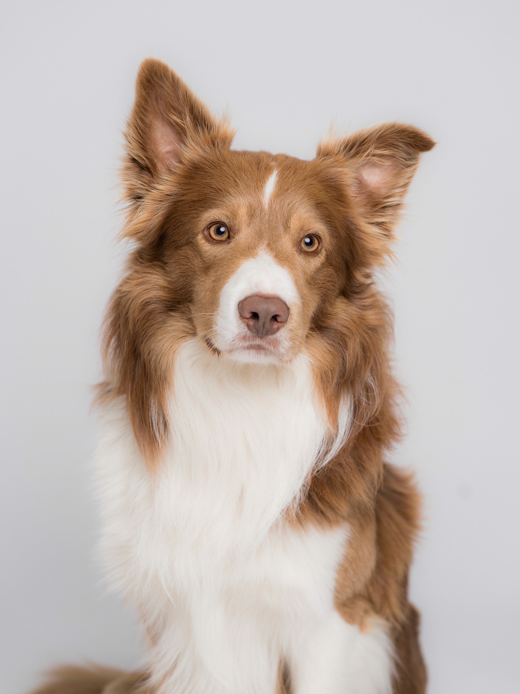 Anne-Claire Flécher Photographe