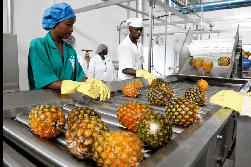 Unlocking growth: strategies for scaling your business